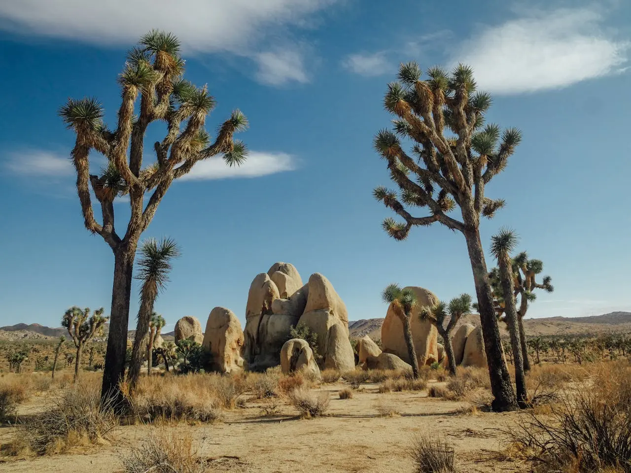 best Hot Springs Near Joshua Tree